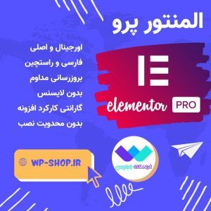 افزونه المنتور پرو فارسی Elementor Pro نسخه ۳.۷.۵
